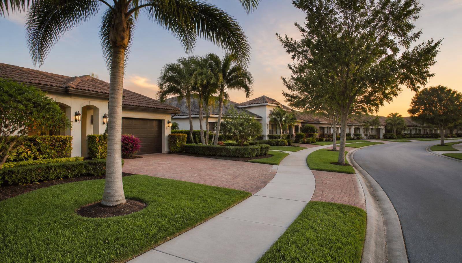 Palm Beach County residential street with QScores floating above the homes